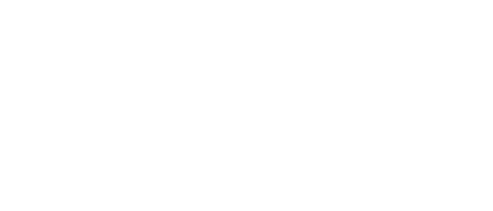 Logo Synapse